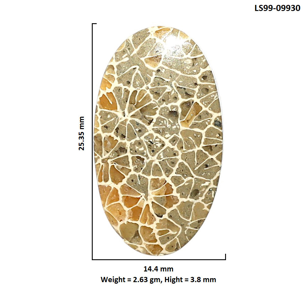 Natural Flower Fossil Coral 14.4x25.35x3.8 mm Pear Shape Polished Gemstone LS99-09930