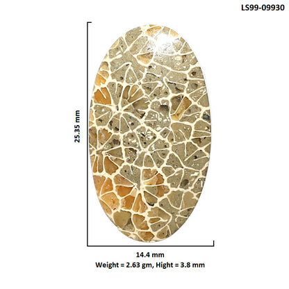 Natural Flower Fossil Coral 14.4x25.35x3.8 mm Pear Shape Polished Gemstone LS99-09930