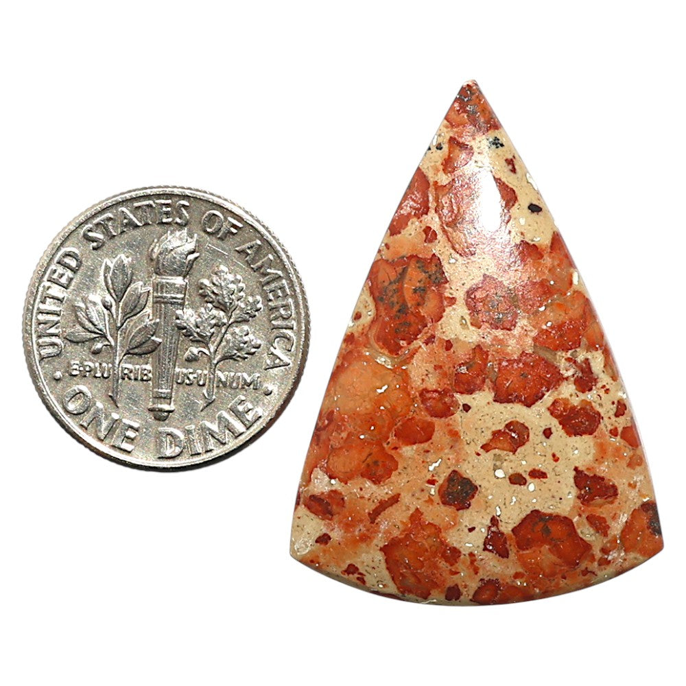 Natural Asteroid Jasper 23x32.2x5.3 mm Fancy Shape Polished Gemstone LS99-09956