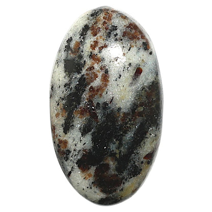 Natural Astrophyllite 15.1x26.6x5.5 mm Oval Shape Polished Gemstone LS99-09957