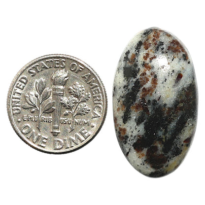Natural Astrophyllite 15.1x26.6x5.5 mm Oval Shape Polished Gemstone LS99-09957