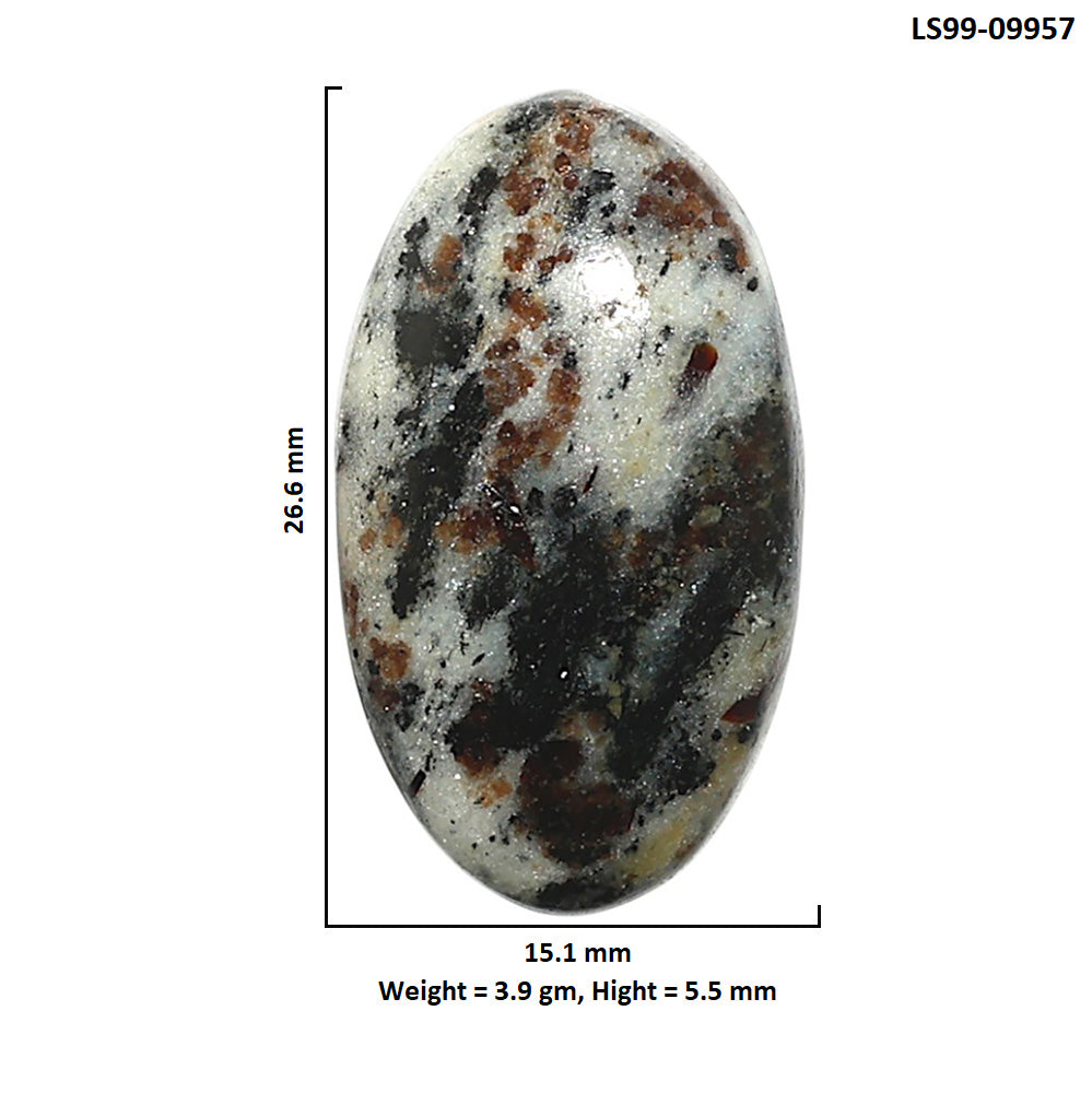 Natural Astrophyllite 15.1x26.6x5.5 mm Oval Shape Polished Gemstone LS99-09957