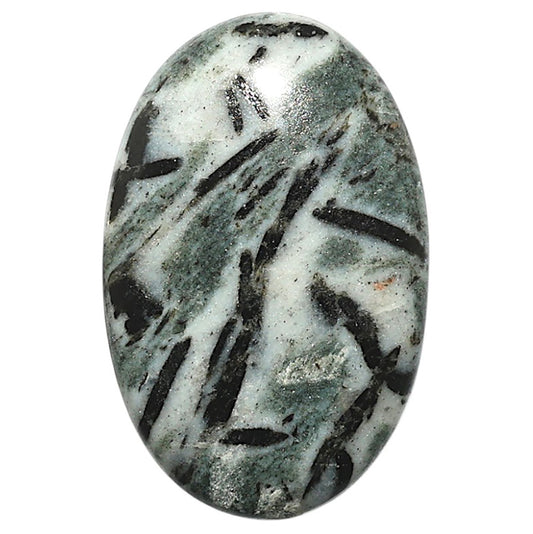 Natural Hornblende 21.6x33.6x5 mm Oval Shape Polished Gemstone LS99-09958