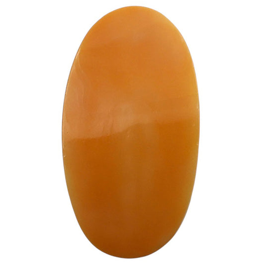 Natural Natural Spiny Oyster Shell 16x28.9x4.5 mm Oval Shape Polished Gemstone LS99-09979