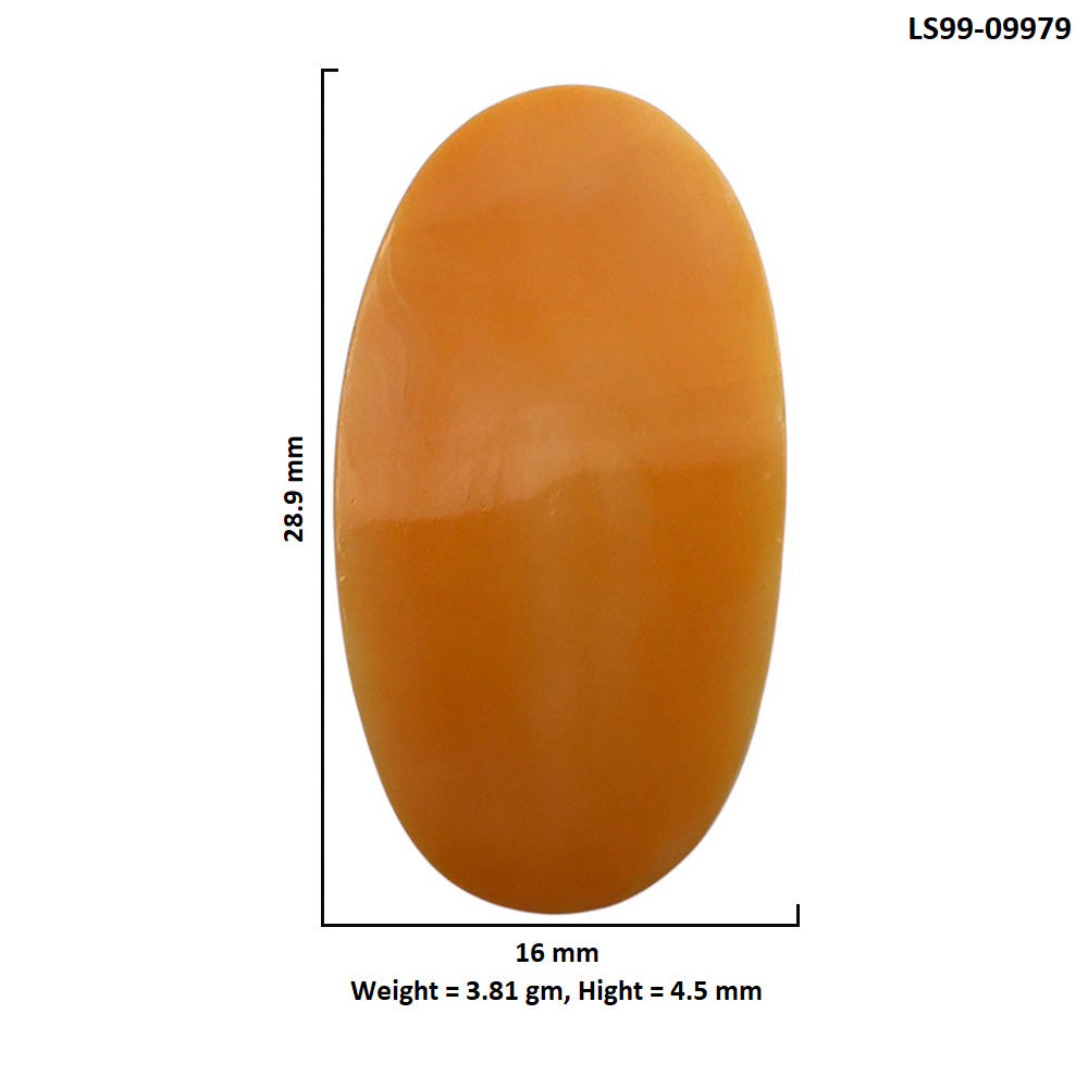 Natural Natural Spiny Oyster Shell 16x28.9x4.5 mm Oval Shape Polished Gemstone LS99-09979
