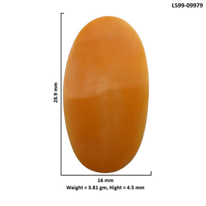 Natural Natural Spiny Oyster Shell 16x28.9x4.5 mm Oval Shape Polished Gemstone LS99-09979