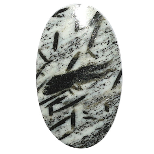 Natural Hornblende 20.8x34.75x4.7 mm Oval Shape Polished Gemstone LS99-09984