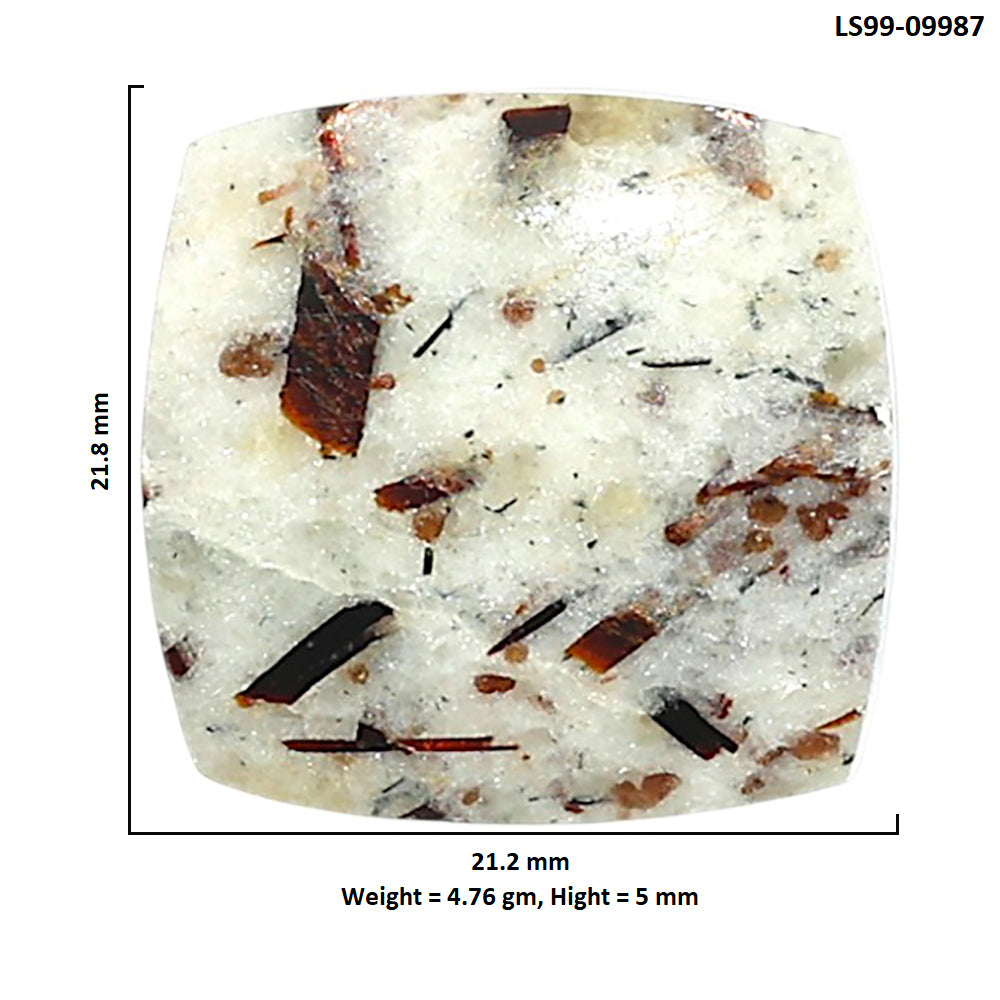 Natural Astrophyllite 21.2x21.8x5 mm Cushion Shape Polished Gemstone LS99-09987