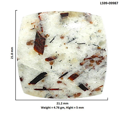 Natural Astrophyllite 21.2x21.8x5 mm Cushion Shape Polished Gemstone LS99-09987