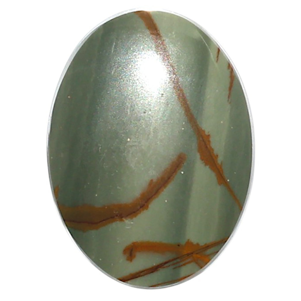 Natural Polygram Jasper 19.5x26.25x4.5 mm Oval Shape Polished Gemstone LS99-09994