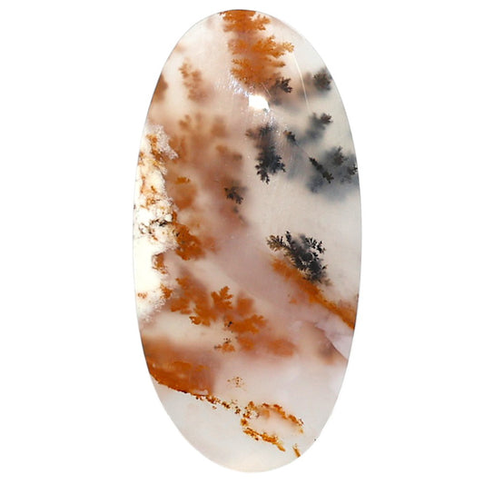 Natural Robinson Ranch Plume Agate 20.4x41x6 mm Oval Shape Polished Gemstone LS99-09997