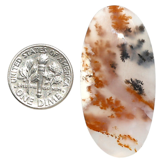 Natural Robinson Ranch Plume Agate 20.4x41x6 mm Oval Shape Polished Gemstone LS99-09997