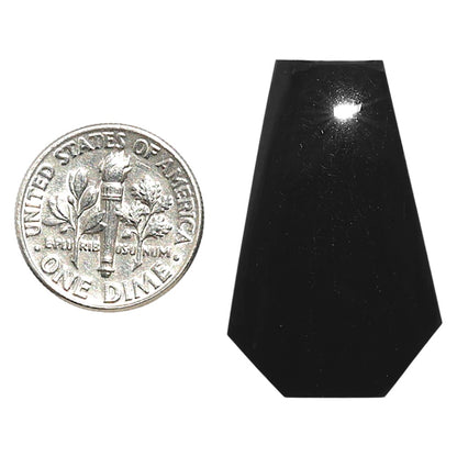 Natural Black Onyx 20x31.65x5 mm Fancy Shape Polished Gemstone LS99-09998