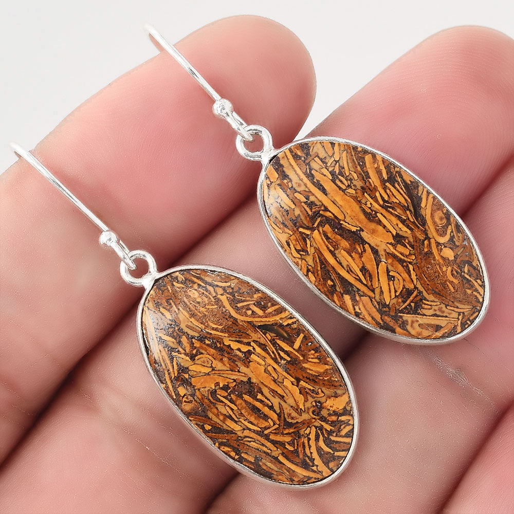 Natural Coquina Fossil Jasper India Earrings E-1001 SDE50813