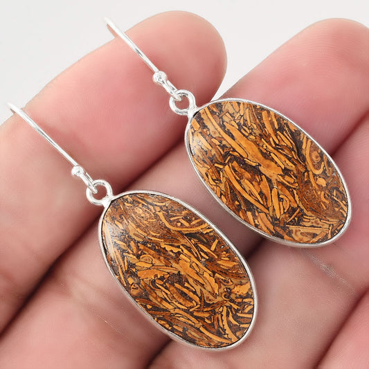 Natural Coquina Fossil Jasper India Earrings E-1001 SDE50813