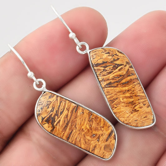 Natural Coquina Fossil Jasper India Earrings E-1001 SDE50817