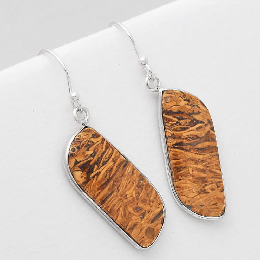 Natural Coquina Fossil Jasper India Earrings E-1001 SDE50817