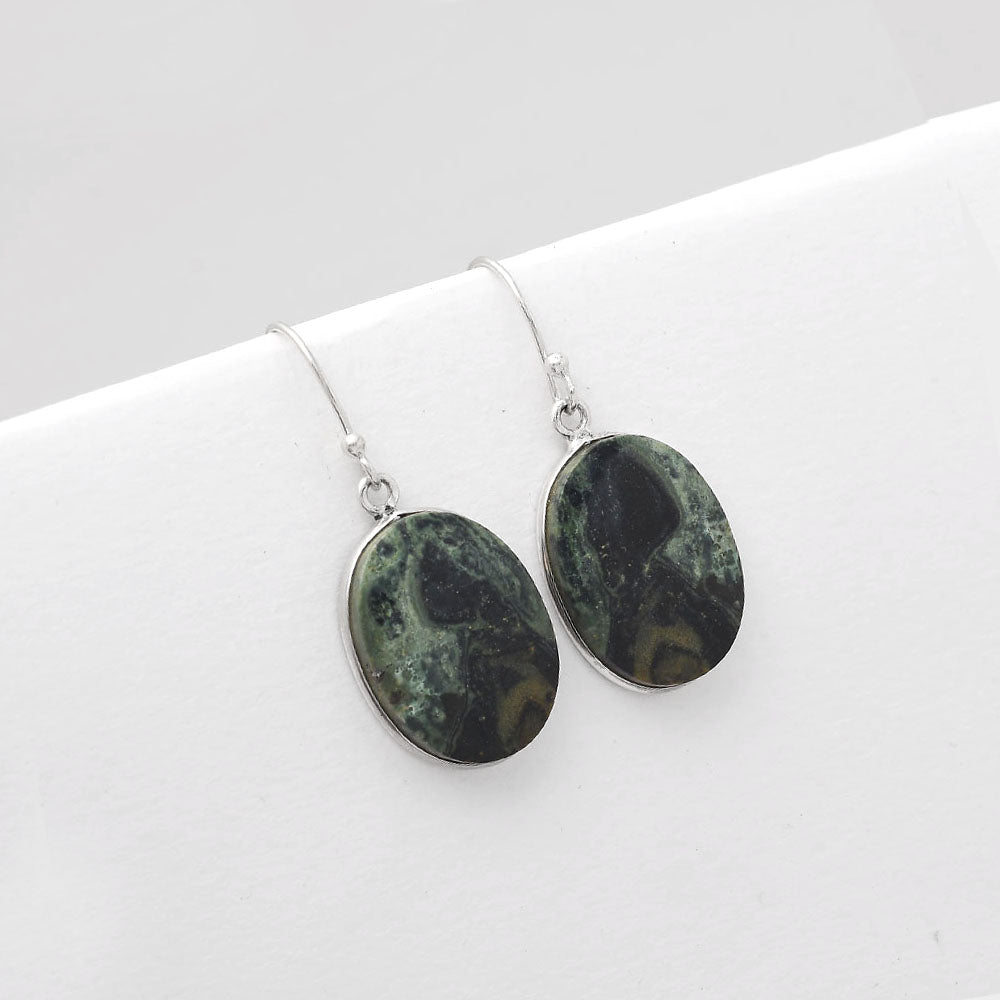 Natural Star Galaxy Jasper Earrings E-1001 SDE50852