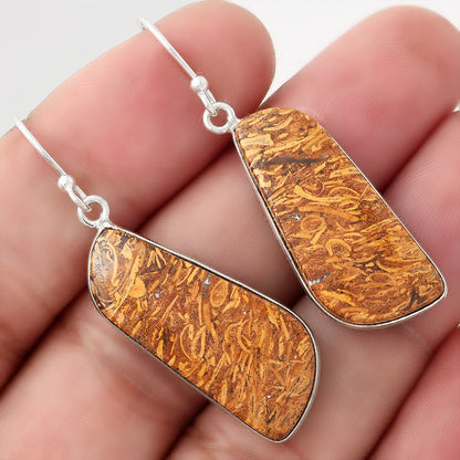 Natural Coquina Fossil Jasper India Earrings E-1001 SDE50886