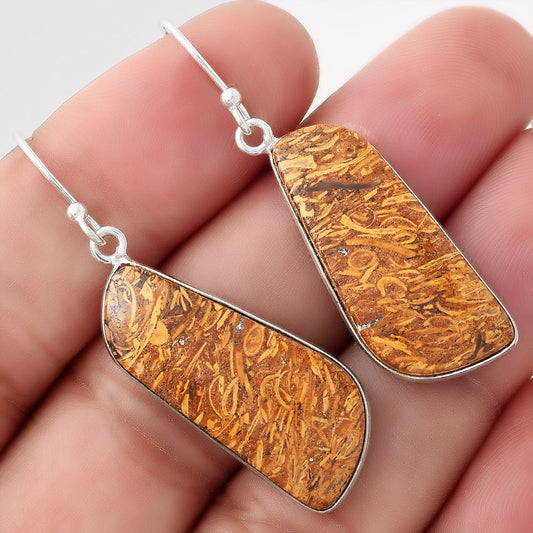 Natural Coquina Fossil Jasper India Earrings E-1001 SDE50886