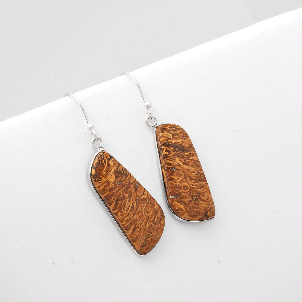 Natural Coquina Fossil Jasper India Earrings E-1001 SDE50886
