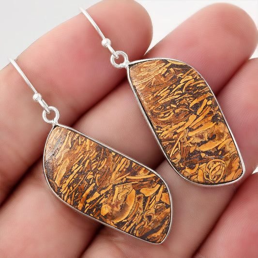 Natural Coquina Fossil Jasper India Earrings E-1001 SDE50887
