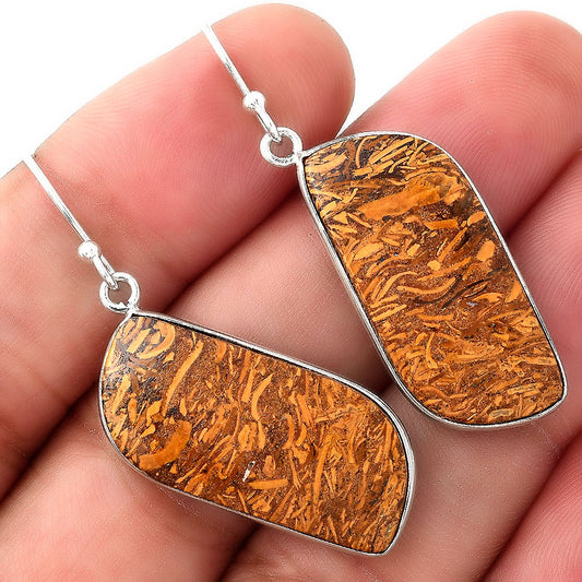 Natural Coquina Fossil Jasper India Earrings E-1001 SDE50894