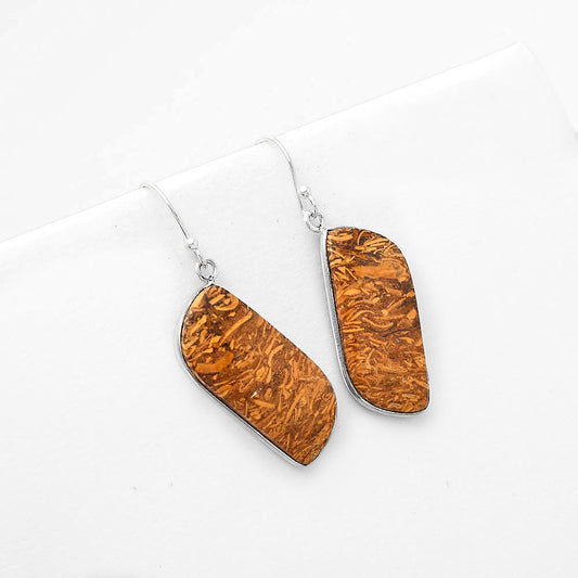 Natural Coquina Fossil Jasper India Earrings E-1001 SDE50894