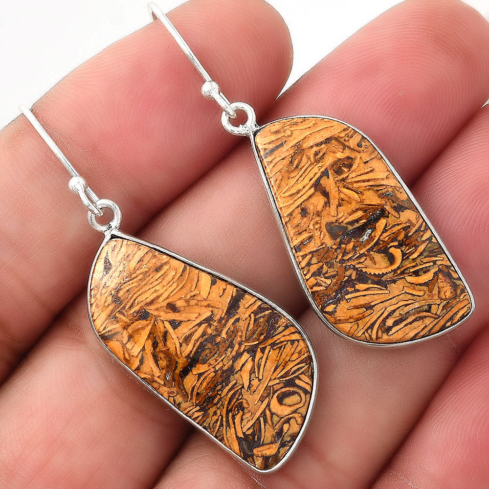 Natural Coquina Fossil Jasper India Earrings E-1001 SDE50944