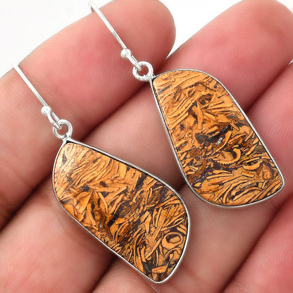 Natural Coquina Fossil Jasper India Earrings E-1001 SDE50944