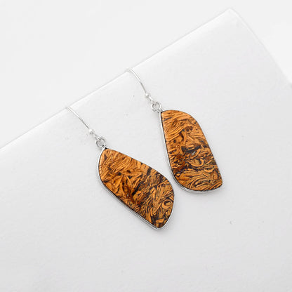 Natural Coquina Fossil Jasper India Earrings E-1001 SDE50944