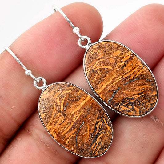 Natural Coquina Fossil Jasper India Earrings E-1001 SDE51004