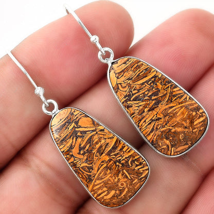 Natural Coquina Fossil Jasper India Earrings E-1001 SDE51005
