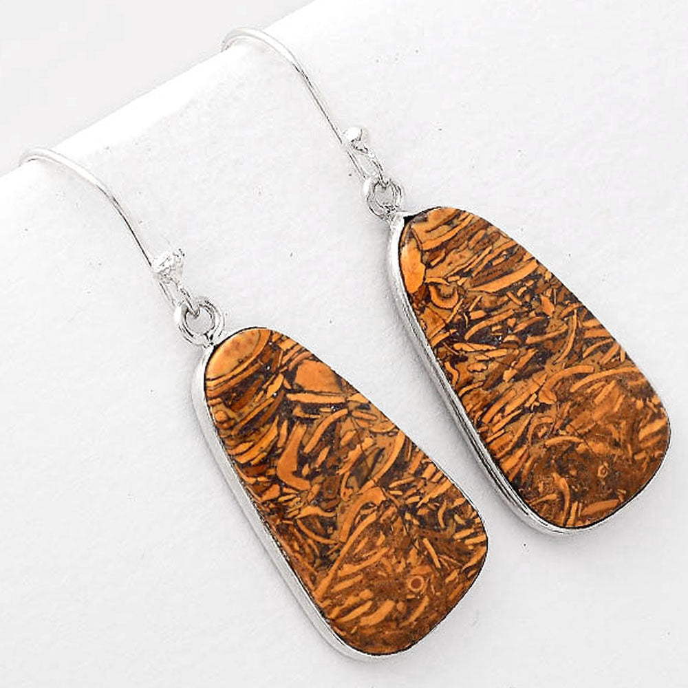 Natural Coquina Fossil Jasper India Earrings E-1001 SDE51005