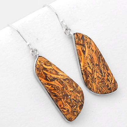 Natural Coquina Fossil Jasper India Earrings E-1001 SDE51018