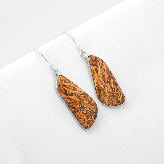 Natural Coquina Fossil Jasper India Earrings E-1001 SDE51018