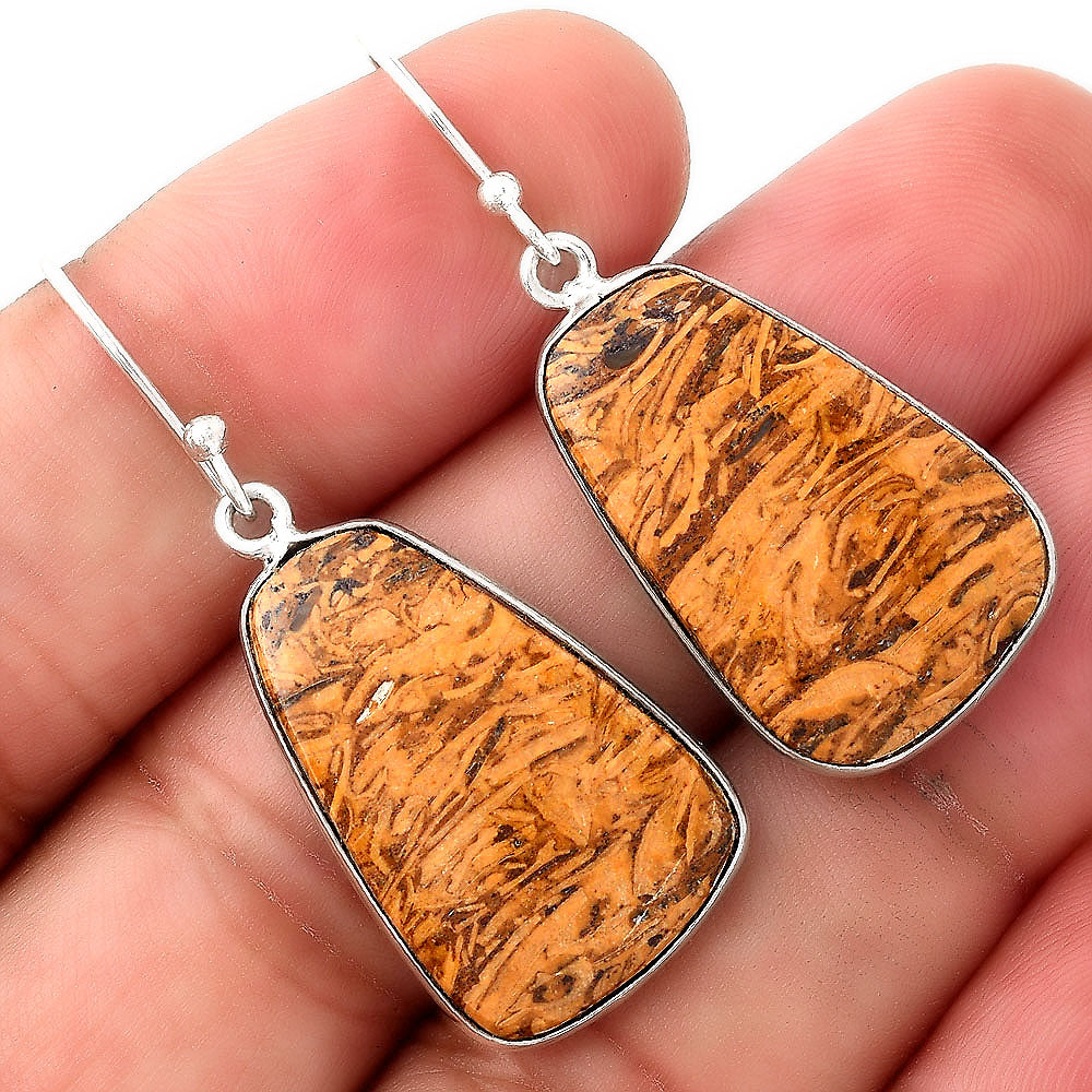 Natural Coquina Fossil Jasper India Earrings E-1001 SDE51047