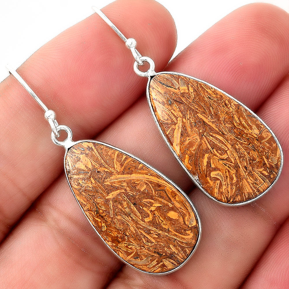 Natural Coquina Fossil Jasper India Earrings E-1001 SDE51073