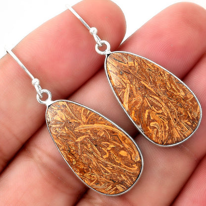 Natural Coquina Fossil Jasper India Earrings E-1001 SDE51073