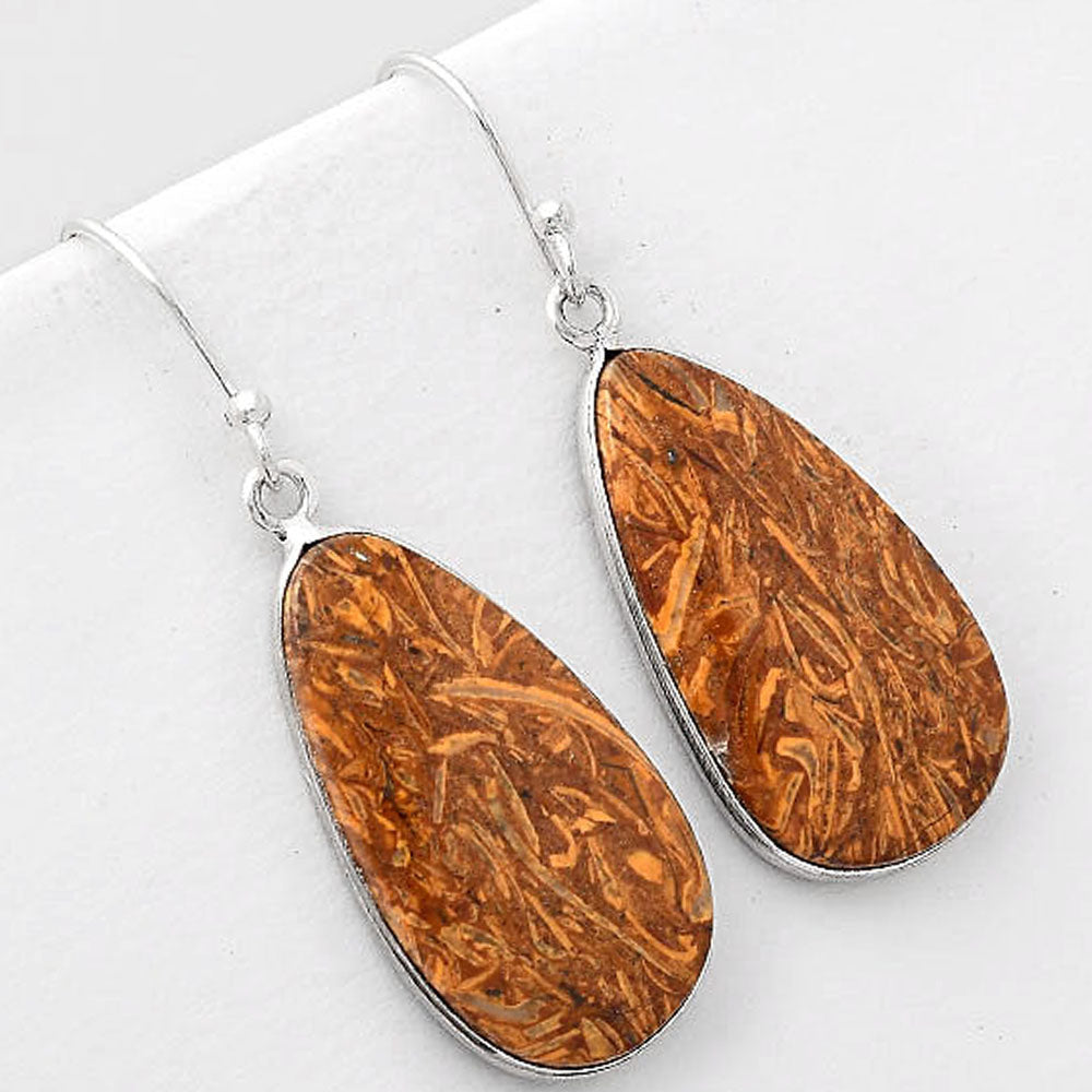 Natural Coquina Fossil Jasper India Earrings E-1001 SDE51073