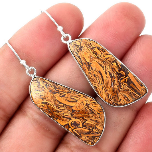 Natural Coquina Fossil Jasper India Earrings E-1001 SDE51081
