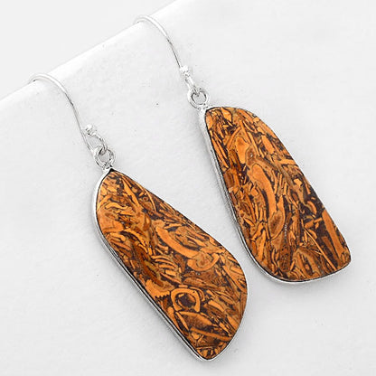 Natural Coquina Fossil Jasper India Earrings E-1001 SDE51081