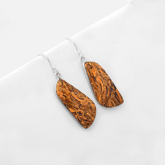Natural Coquina Fossil Jasper India Earrings E-1001 SDE51081
