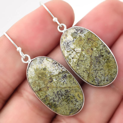 Dragon Blood Stone - South Africa Earrings E-1001 SDE51092