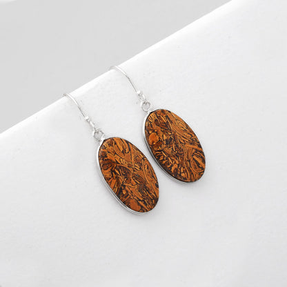 Natural Coquina Fossil Jasper India Earrings E-1001 SDE51100