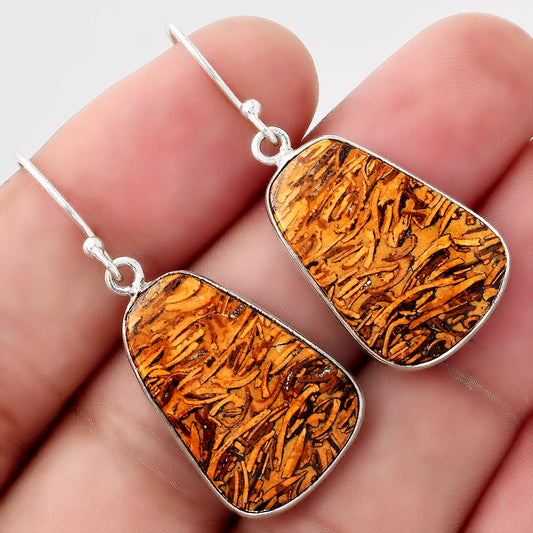 Natural Coquina Fossil Jasper India Earrings E-1001 SDE51118