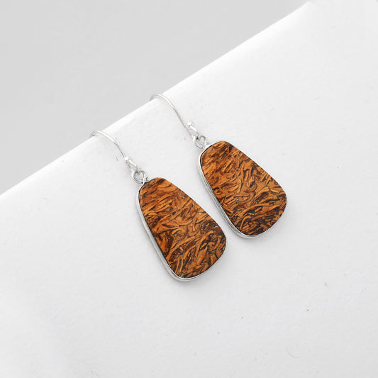 Natural Coquina Fossil Jasper India Earrings E-1001 SDE51118
