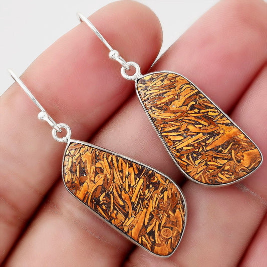 Natural Coquina Fossil Jasper India Earrings E-1001 SDE51122