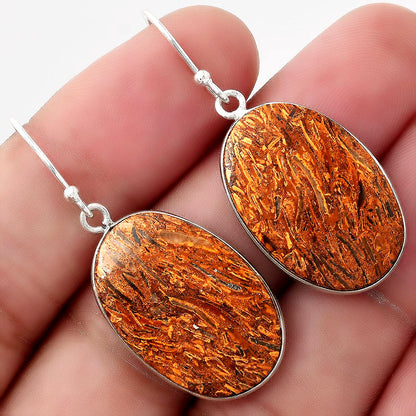 Natural Coquina Fossil Jasper India Earrings E-1001 SDE51128
