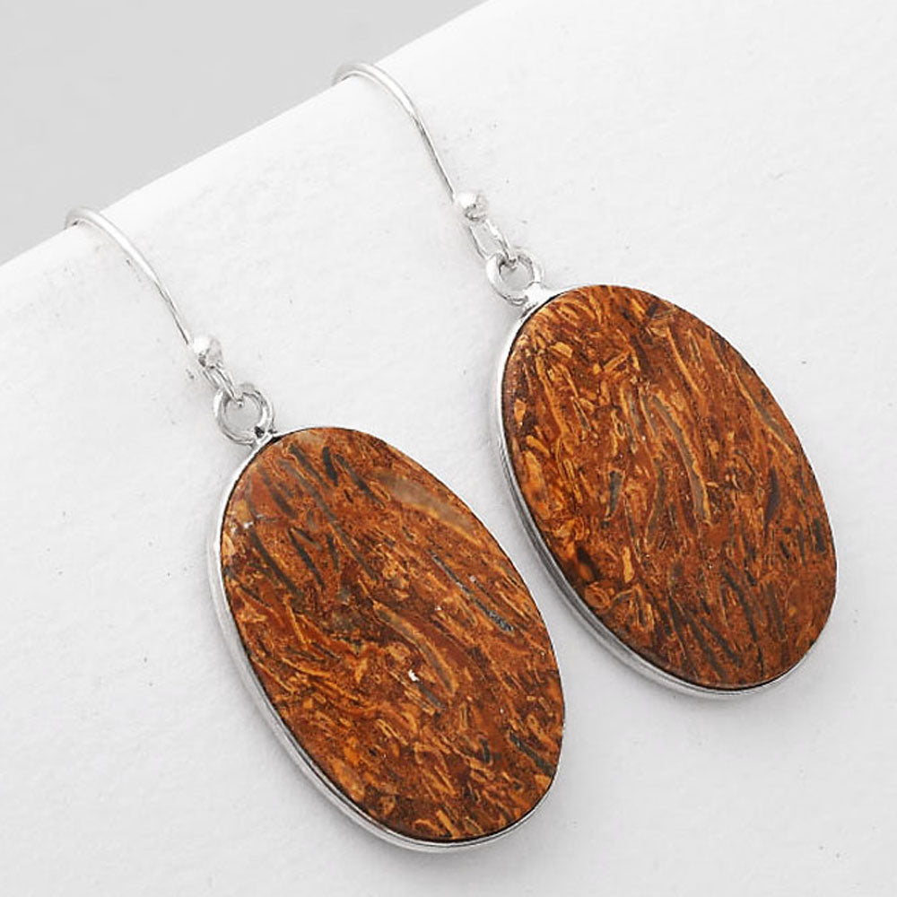 Natural Coquina Fossil Jasper India Earrings E-1001 SDE51128
